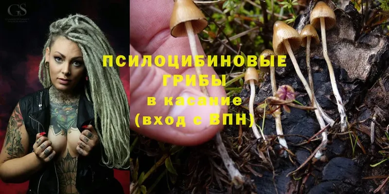 Псилоцибиновые грибы Cubensis  МЕГА зеркало  Родники 